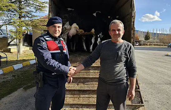 Konya'da 300 bin liralık büyükbaş çalındı iddiası şüpheli tutuklandı