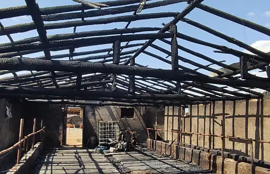 Konya'da 8 büyükbaş hayvan telef oldu