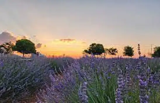 Konya'da Türkiye ekonomisine büyük katkı sağlayacak o yerin işte açılış tarihi