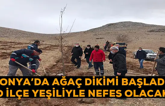 Konya'da ağaç dikimi başladı! O ilçe yeşiliyle nefes olacak