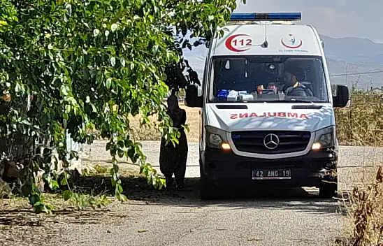 Konya'da ağaçtan düştü! Vücudunda kırıklar oluştu