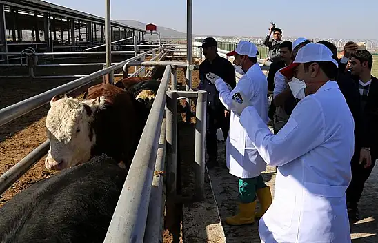 Konya'da alarm verildi: Tüm tedbirler devrede