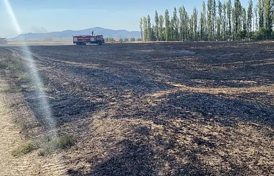 Konya'da arpa tarlası küle döndü