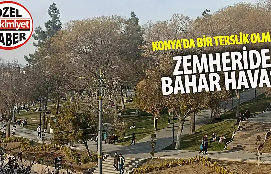 Konya'da bir terslik olmalı: Kışın ortasında bahar havası!
