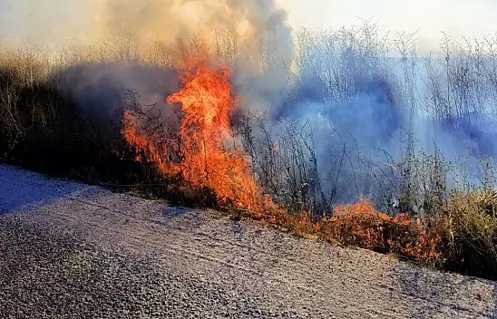 Konya'da bu alanda çıkan yangınlar tedirgin ediyor