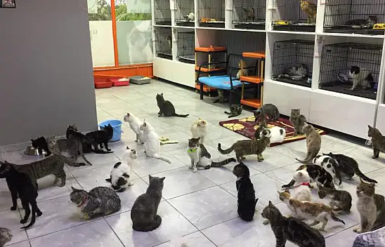 Konya'da bulunan HAYDOSEV yurttaşlardan destek bekliyor!