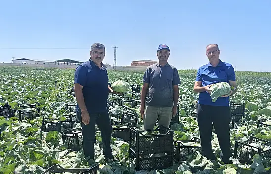 Konya'da çeşit artıyor! Bu ürünler çiftçilerin gözdesi oldu...