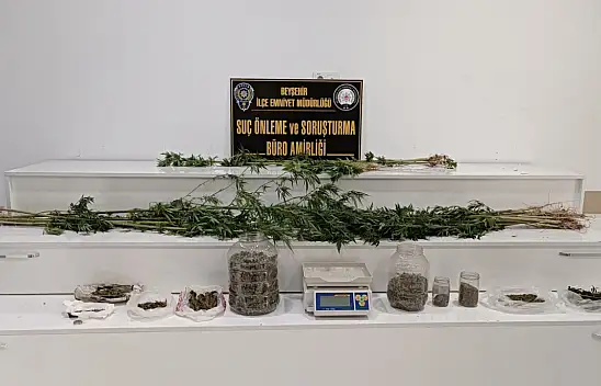 Konya'da ceviz bahçesinden uyuşturucu çıktı