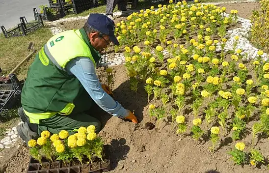 Konya'da çevre düzenleme çalışmaları devam ediyor
