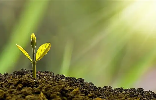 Konya'da Çevre Haftası Kutlandı