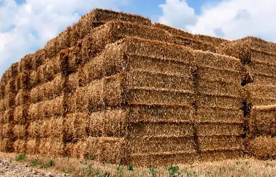 Konya'da çiftçilik yapan kadın kaza geçirdi!