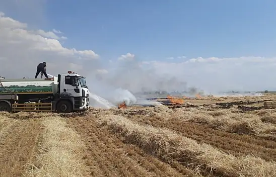 Konya'da çıkan yangında badem ağaçları zarar gördü