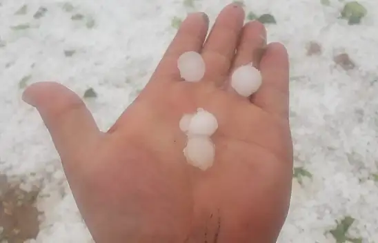 Konya'da dolu yağışı sonrası araziler zarar gördü