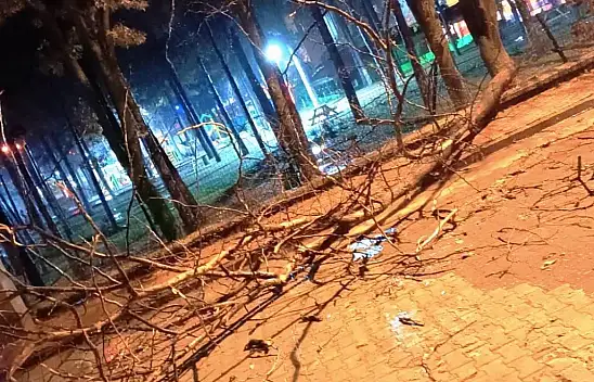 Konya'da fırtına yıktı geçti!