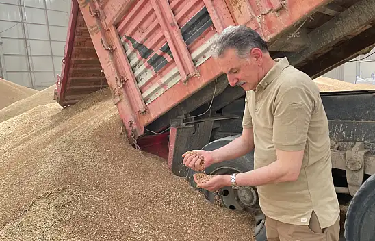 Konya'da günlük 50 ton mahsul elde ediliyor