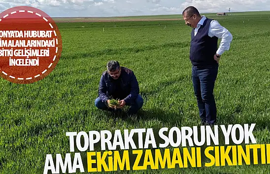 Konya'da hububat ekim alanlarındaki bitki gelişimleri incelendi