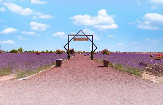 Turistlerin ilgi odağı haline geldi