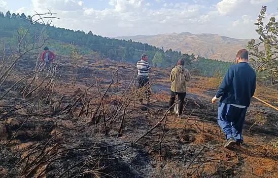 Konya'da Orman Yangını!