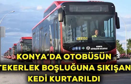 Konya'da otobüsün tekerlek boşluğuna sıkışan kedi kurtarıldı
