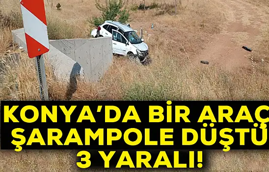Konya'da şarampole düşen otomobildeki 3 kişi yaralandı