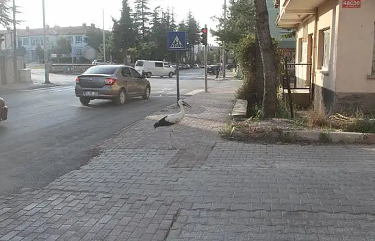 Konya'da şaşkına çeviren görüntüler