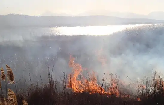Konya'da sazlıklarda çıkan yangın balıkçıları korkuttu!