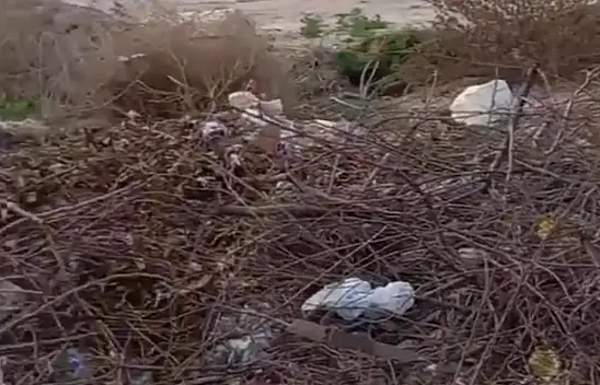 Konya'da sokakları çöplüğe çevirdiler