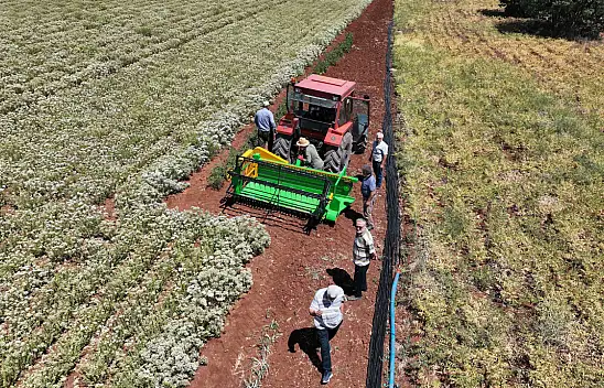 Konya'da susuz tarımın hasadı gerçekleşti