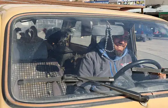 Konya'da tavuklarını otomobille gezdiriyor! Bakın neden!