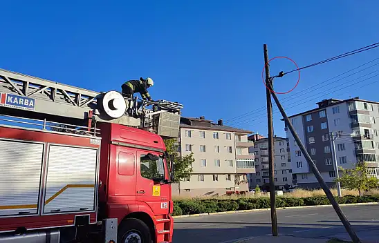 Konya'da telefon telinde mahsur kalan kedi kurtarıldı
