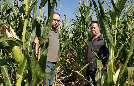 Konya'da üreticiler bilgilendiriliyor