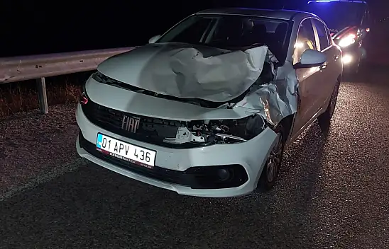 Konya'da yola çıkan eşek kazaya yol açtı