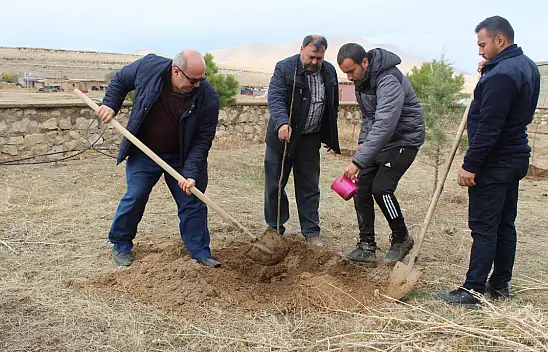 Konya'daki atıl arazi meyve bahçesine dönüştürüldü!