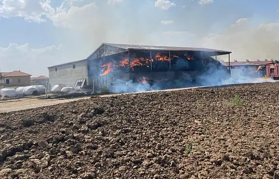 Konya'daki yangında büyükbaş hayvanlar telef oldu