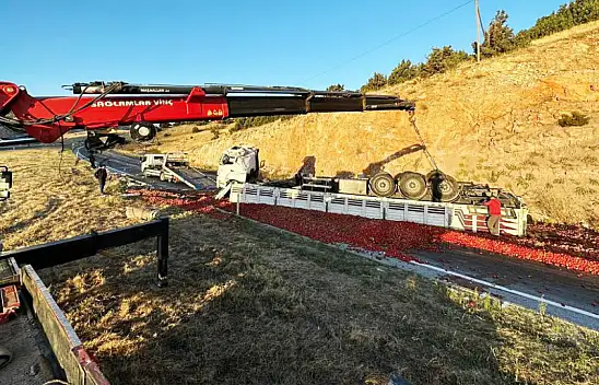 Konya'dan Afyon yönüne giden domates yüklü tır dehşet saçtı!