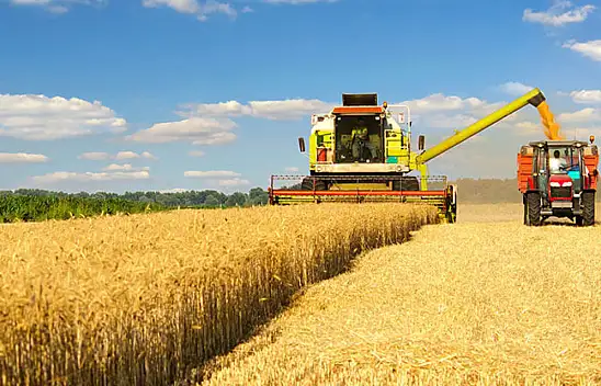 Konya için hasat vakti
