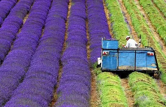 Konya, üretimde çığır açtı
