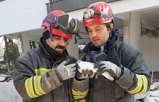Konya itfaiye ekipleri, Hatay'da enkaz altında kalan 2 güvercini kurtardı