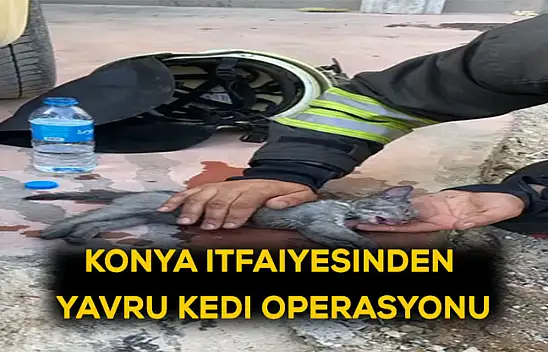 Konya itfaiyesinden yavru kedi operasyonu