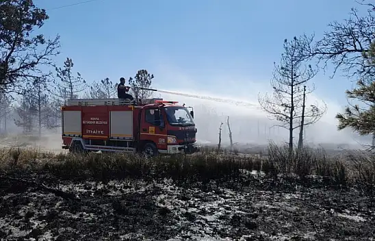 Konya'nın ciğerleri yandı. Ağaçlar kül oldu. Ormanlık alanlar zarar gördü.