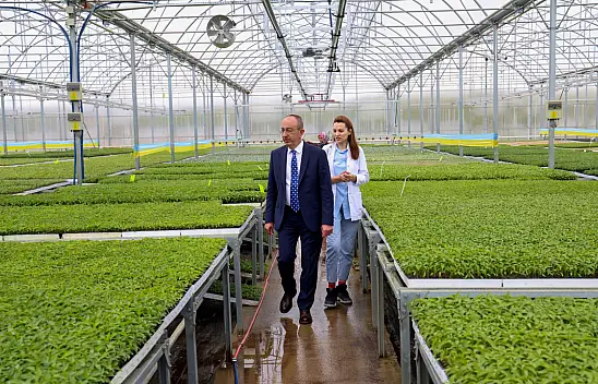 Konya'nın ilk ve tek Sebze Fidesi Üretim Merkezi'nde satışlar başladı