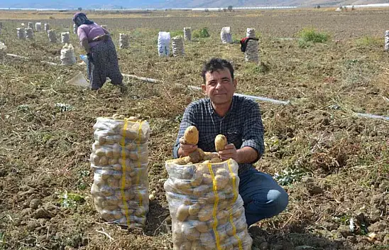 Konya'nın komşu ilinde patates hasadı sona erdi!