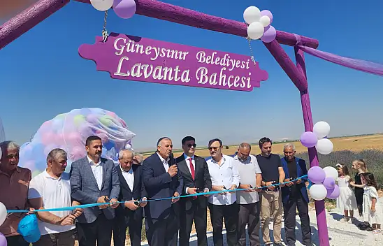 Konya'nın o ilçesinde lavanta bahçeleri açıldı