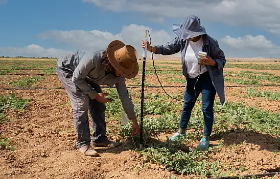 Konya'nın o üniversitesi tasarrufa gidiyor