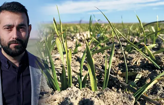 Konya ovası alarm veriyor