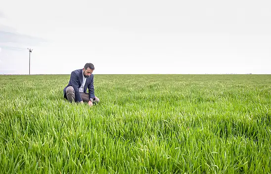 Konya Ovası'nda çiftçi mart ve nisan yağışlarından memnun