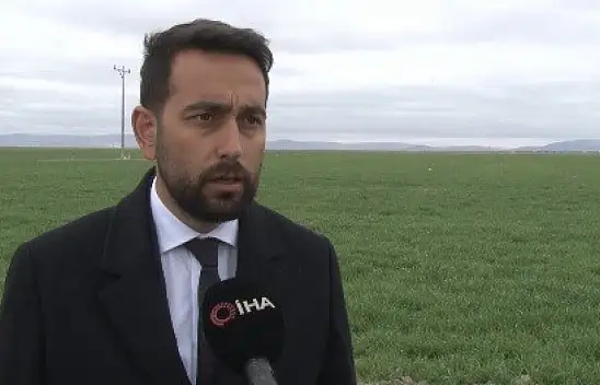 Konya ovasında yağışlarla beraber tahıl beklentisi arttı