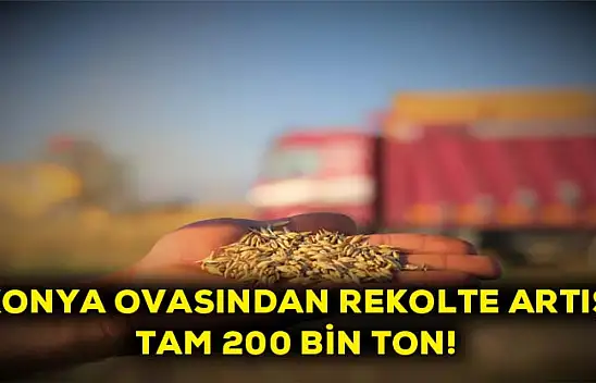 Konya ovasından rekolte artış! Tam 200 bin ton
