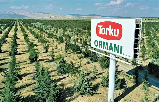 Konya Şeker'den ağaç açıklaması