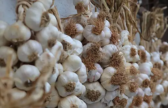 Konyalı çiftçiden ülke ekonomisine akıl almaz katkı!